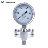 Đồng hồ đo áp suất màng Psq 4 "