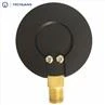 Low Pressure Gauge With Corrosion Resistance